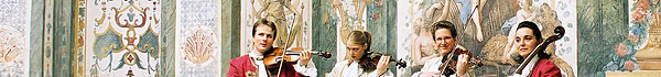 Vienna concerts, opera, operetta, theatre and sightseeing tours